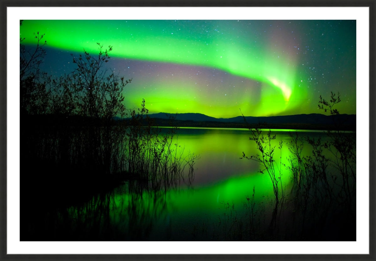 Northern Lights Dancing in Sky