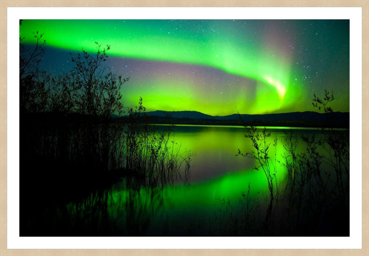Northern Lights Dancing in Sky