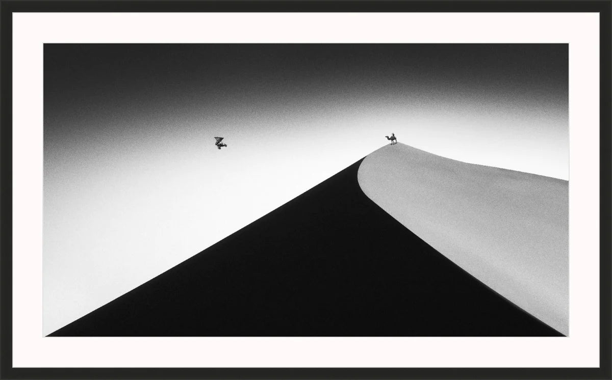 On the Sand Dune 2