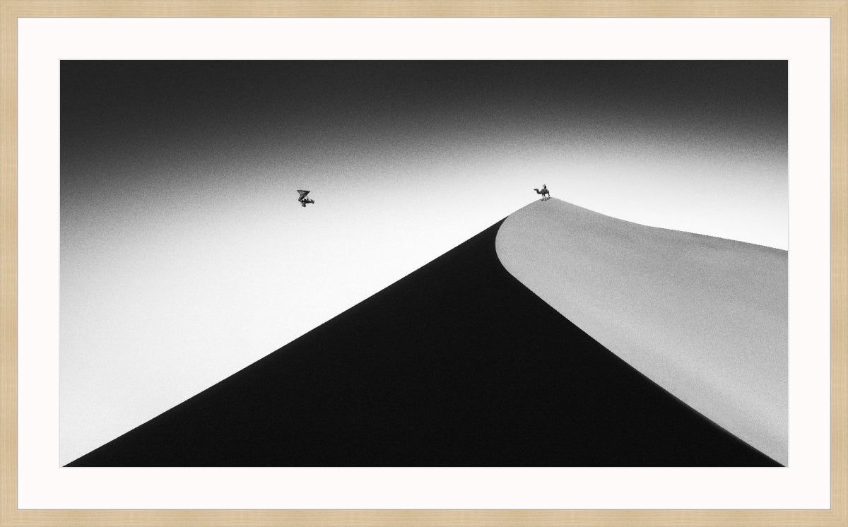 On the Sand Dune 2