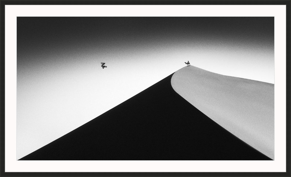 On the Sand Dune 2