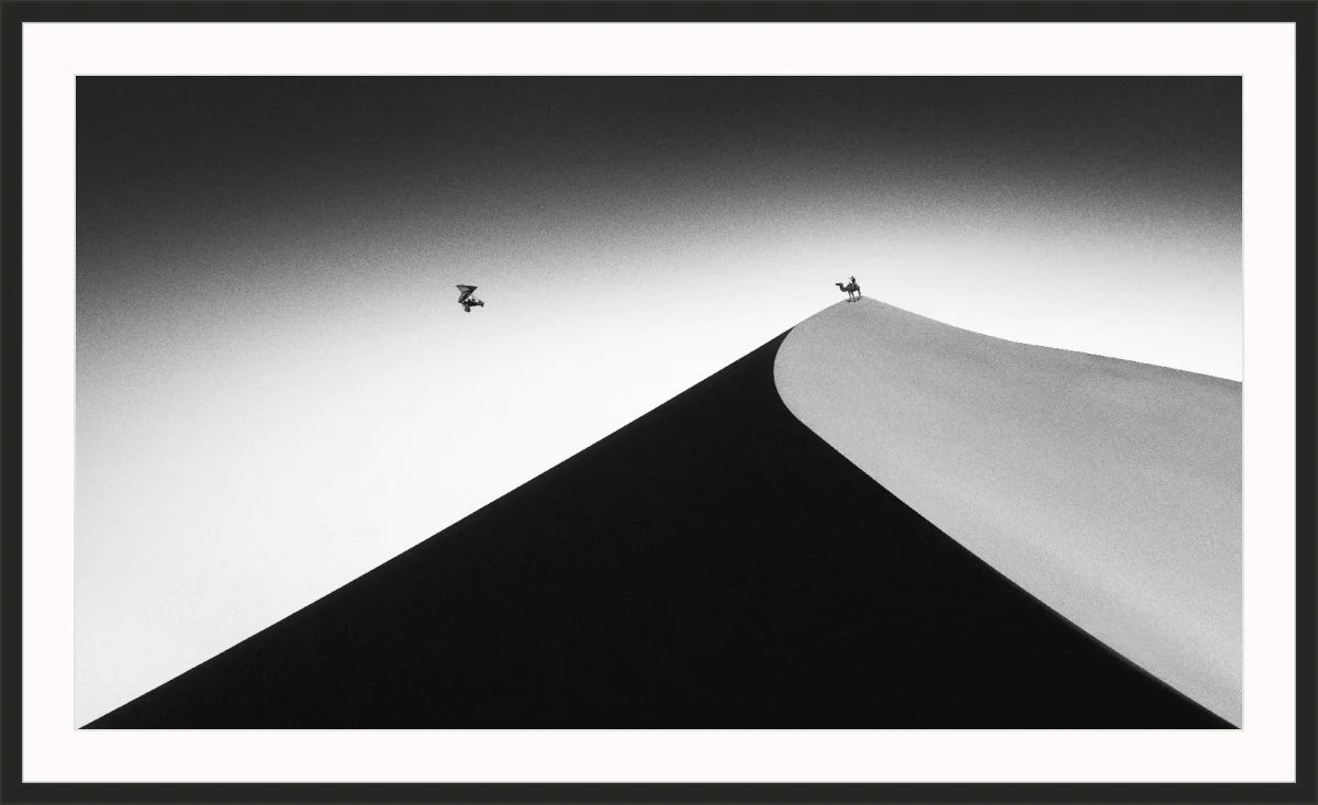On the Sand Dune 2