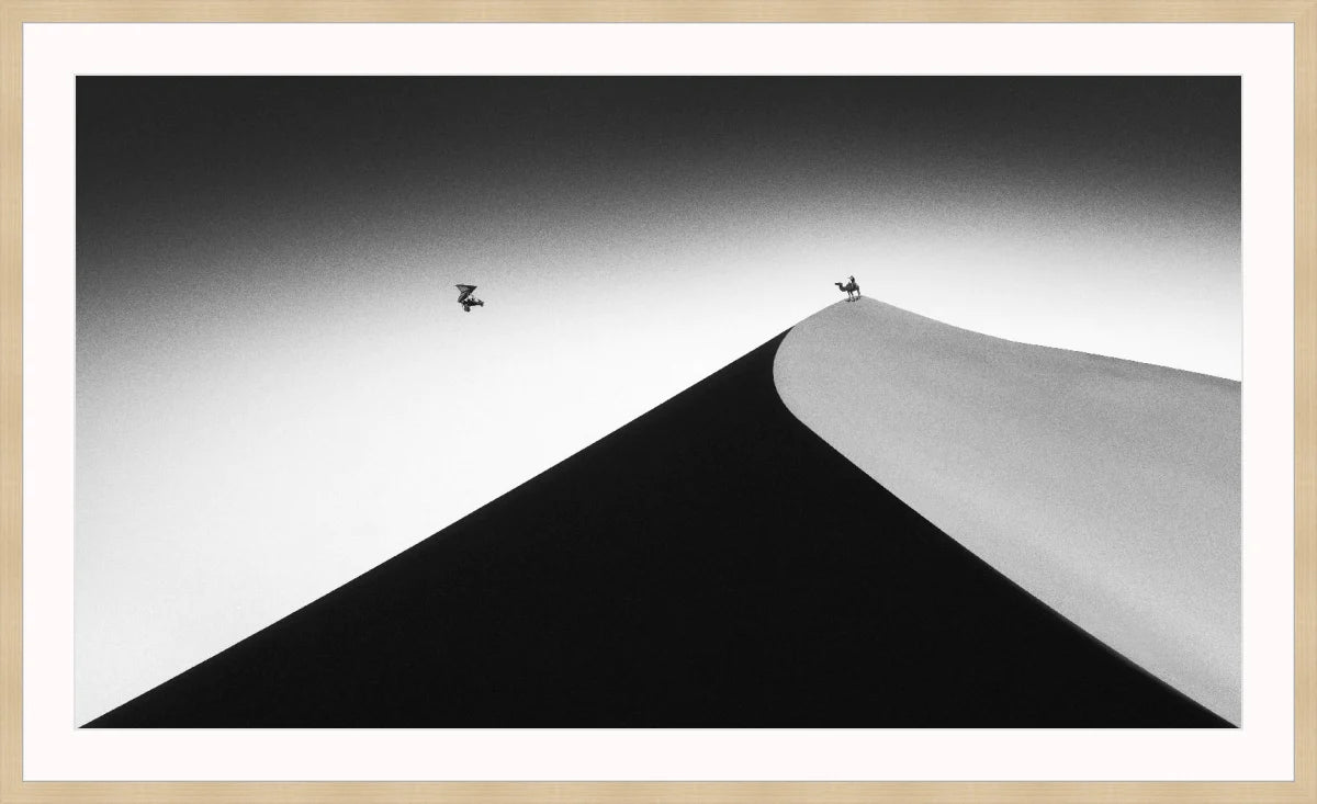 On the Sand Dune 2