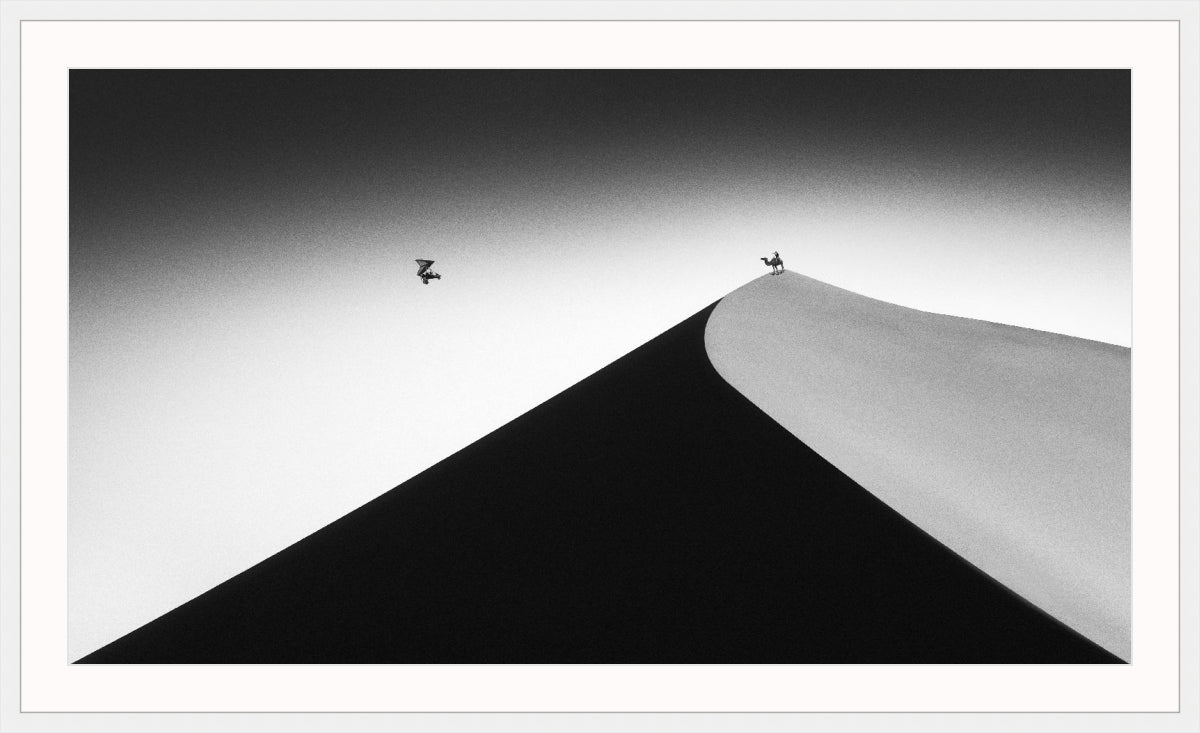On the Sand Dune 2