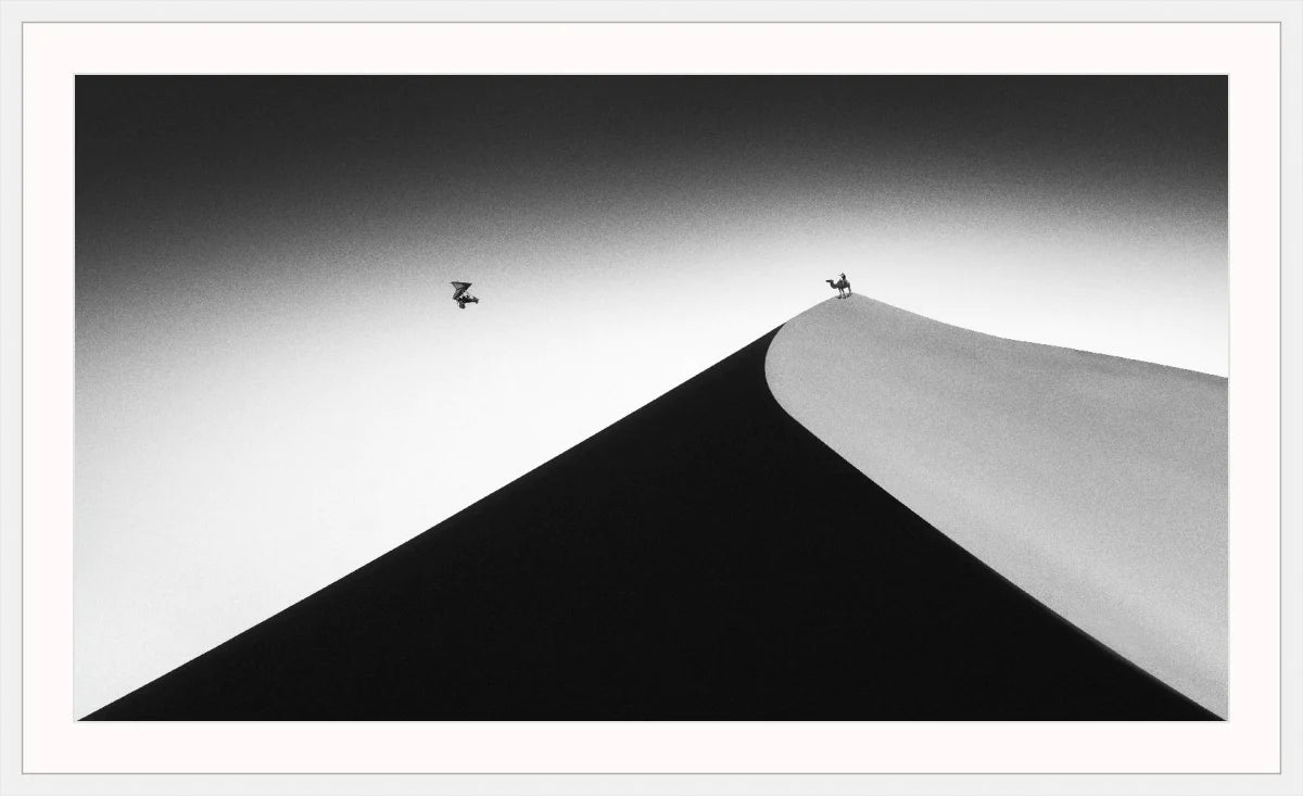 On the Sand Dune 2