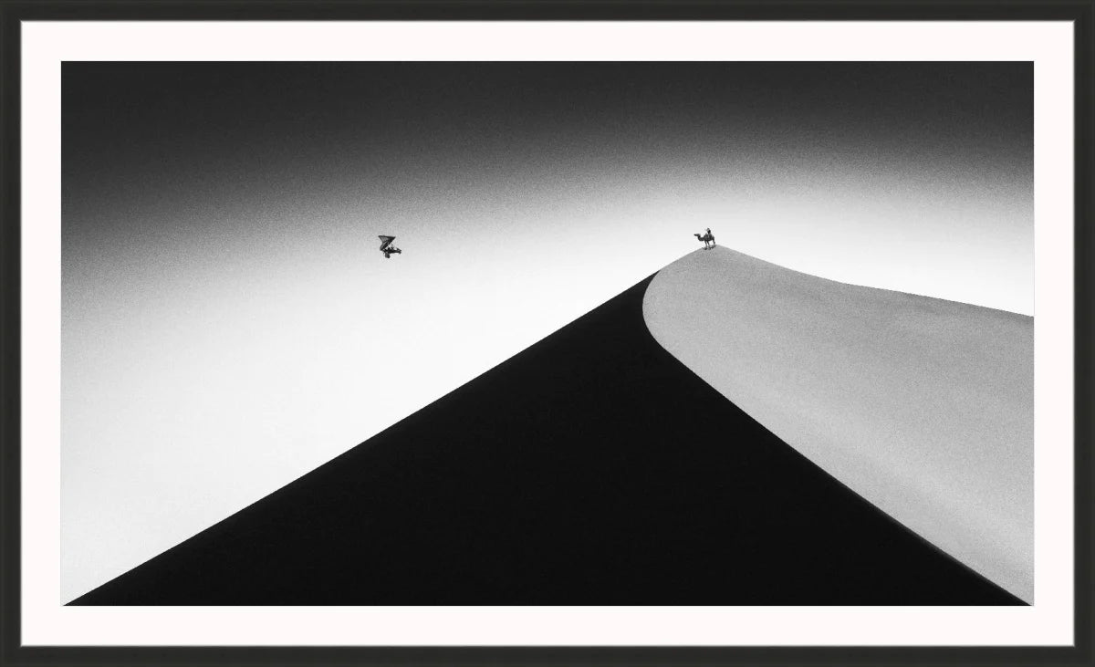 On the Sand Dune 2