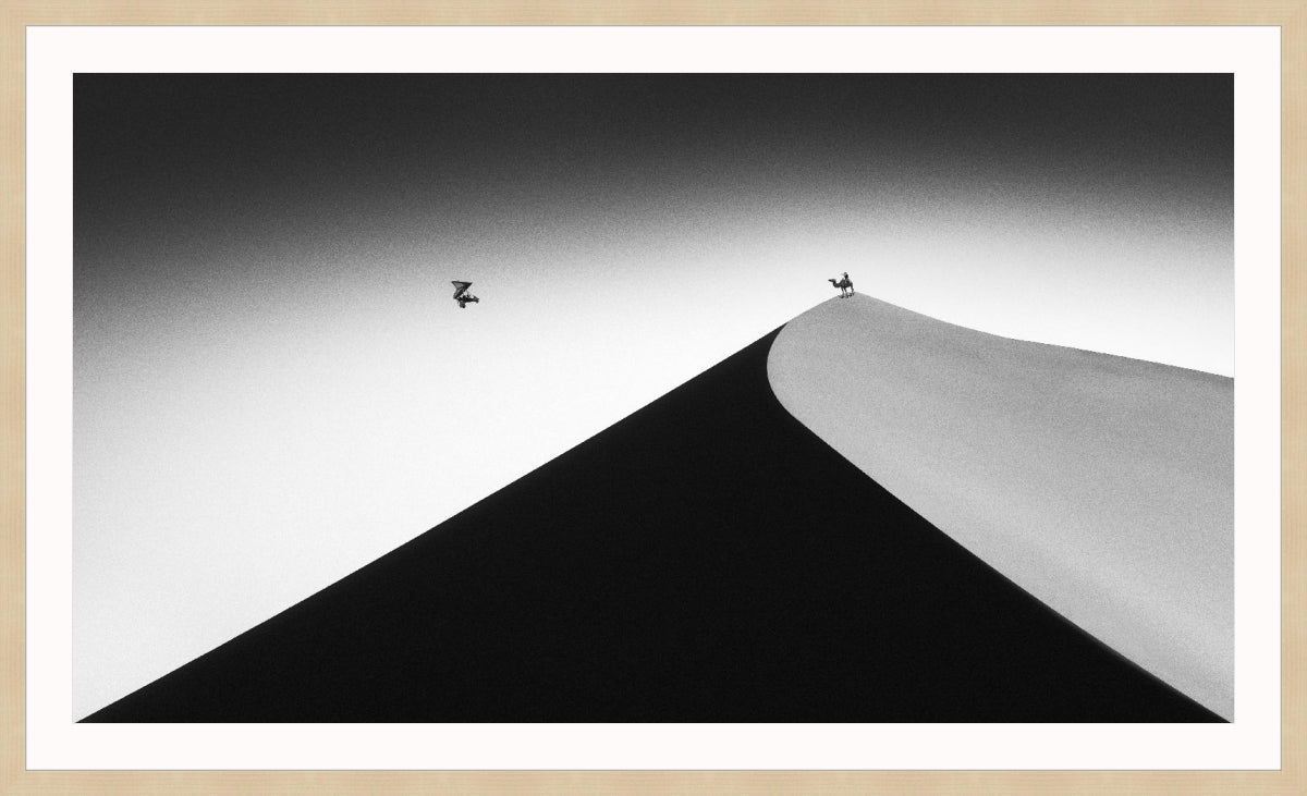 On the Sand Dune 2