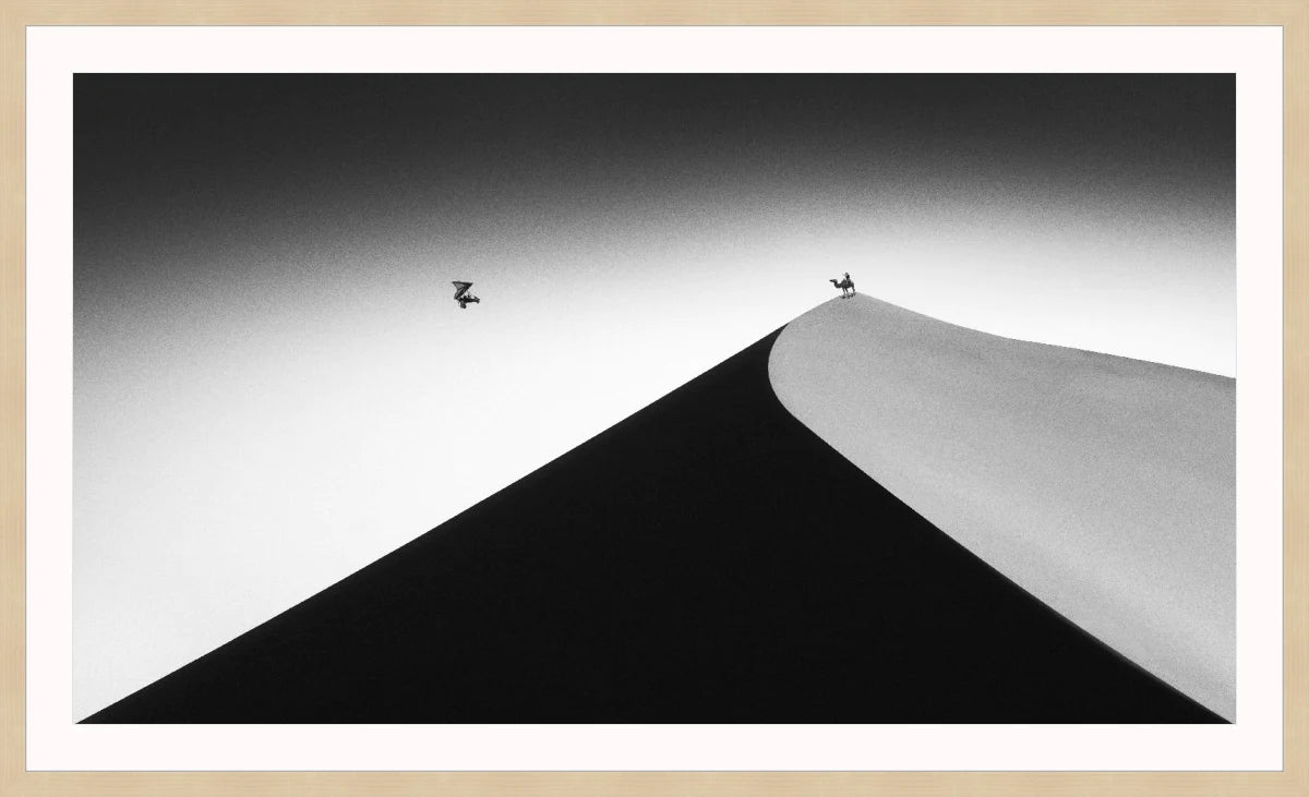 On the Sand Dune 2