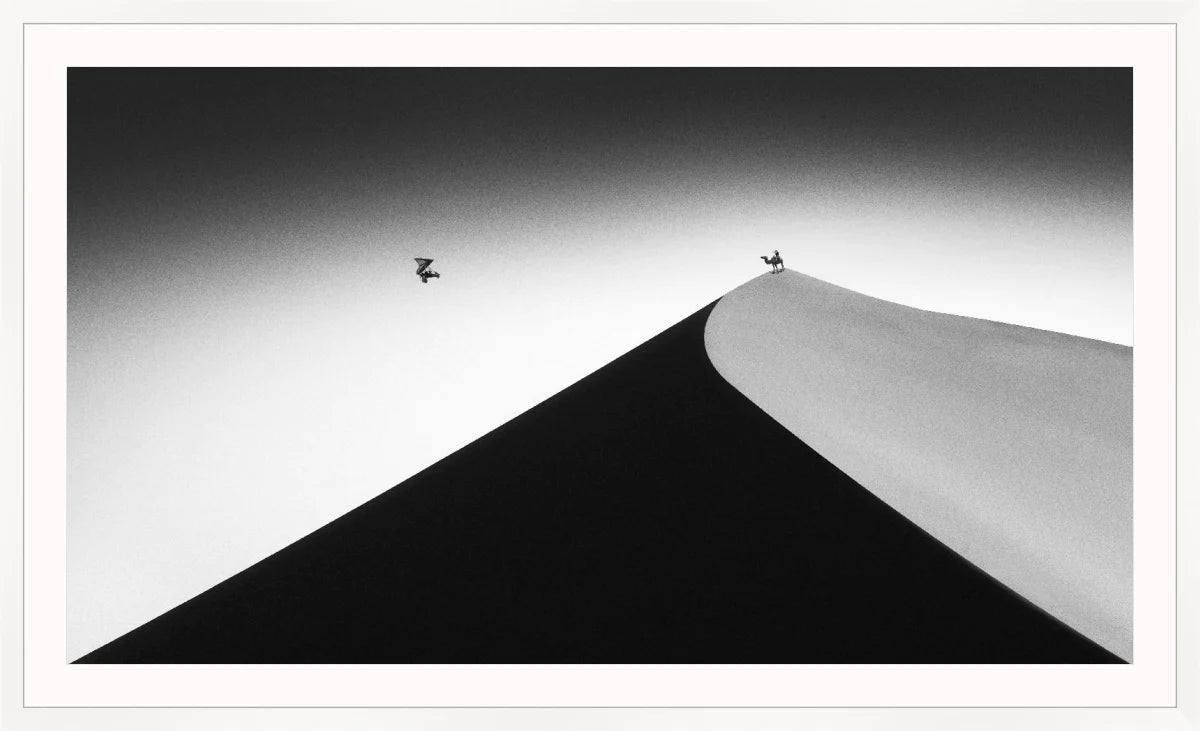 On the Sand Dune 2