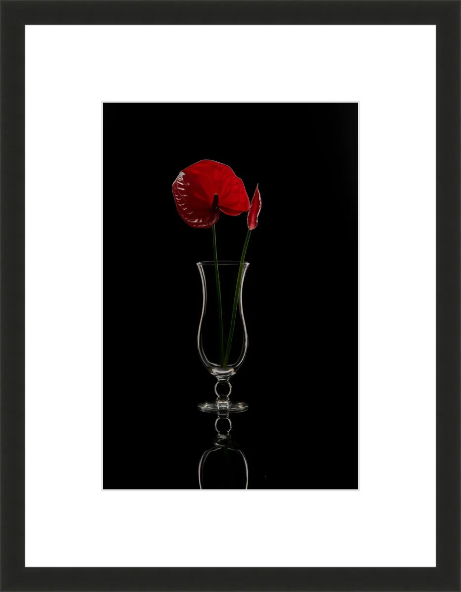 Anthurium
