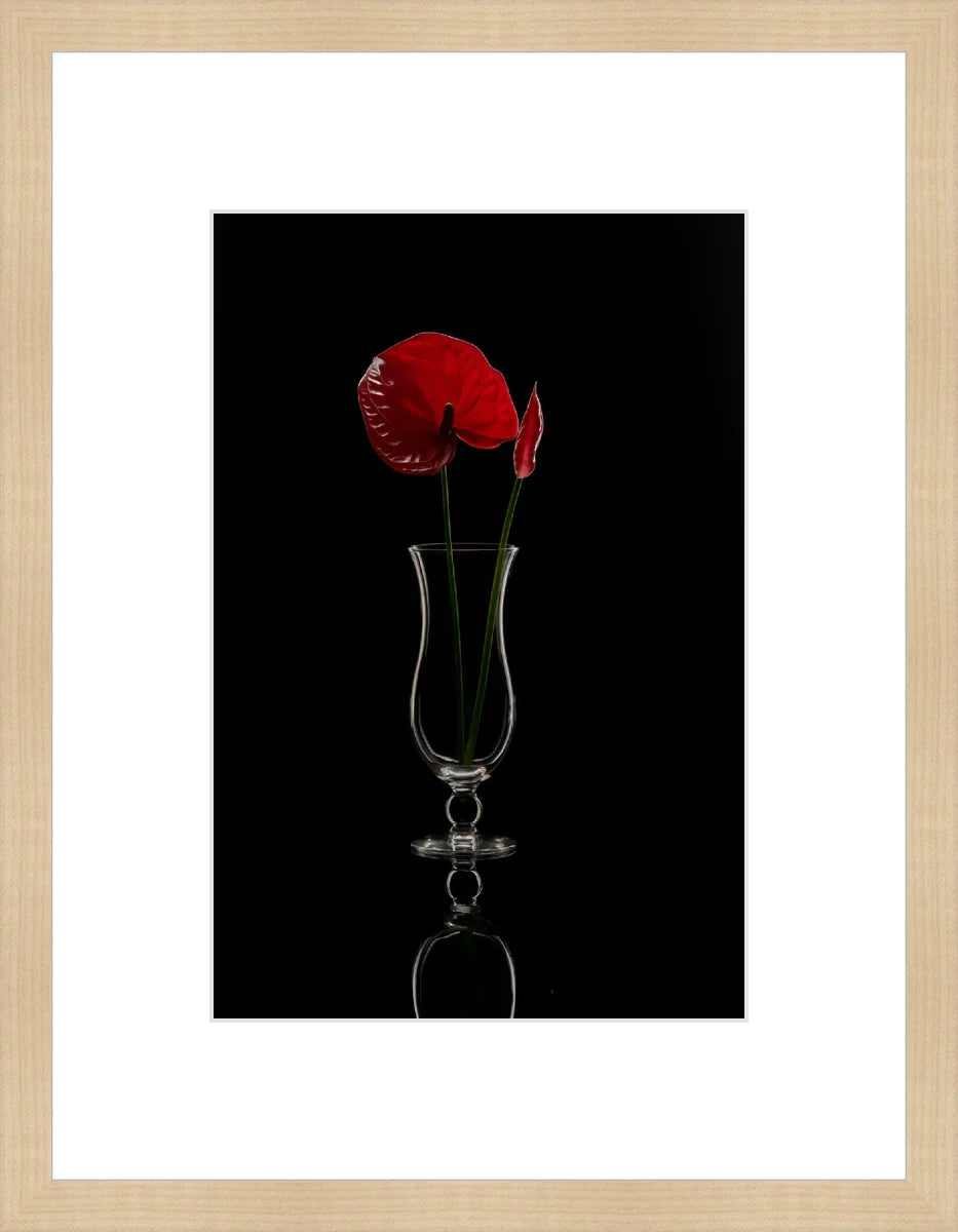 Anthurium