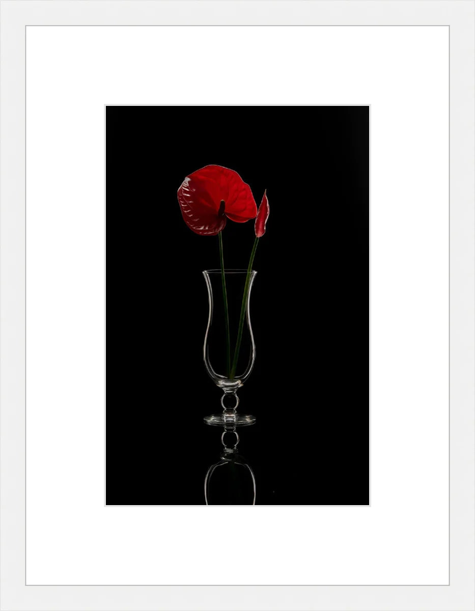 Anthurium