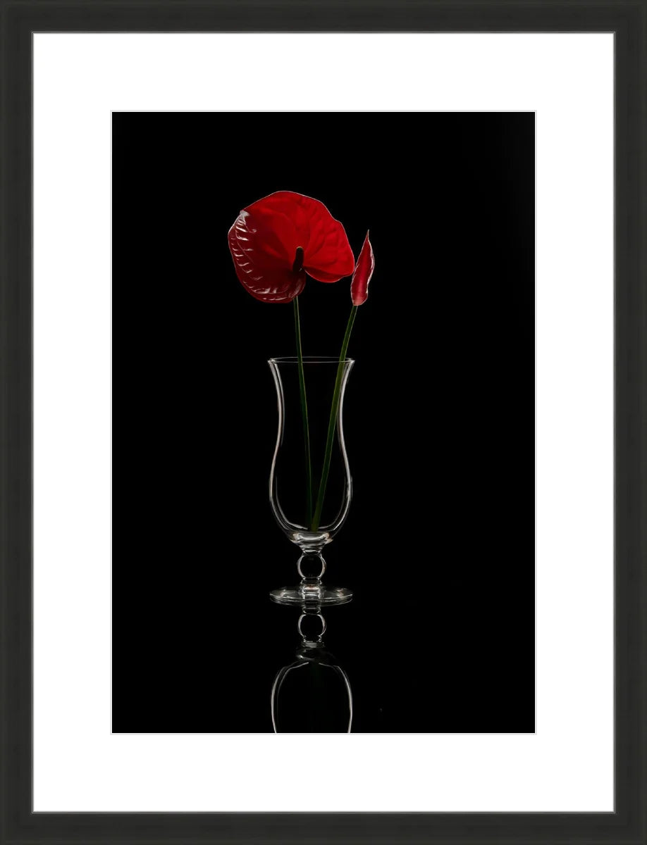 Anthurium