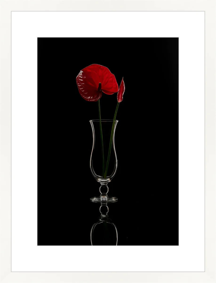 Anthurium
