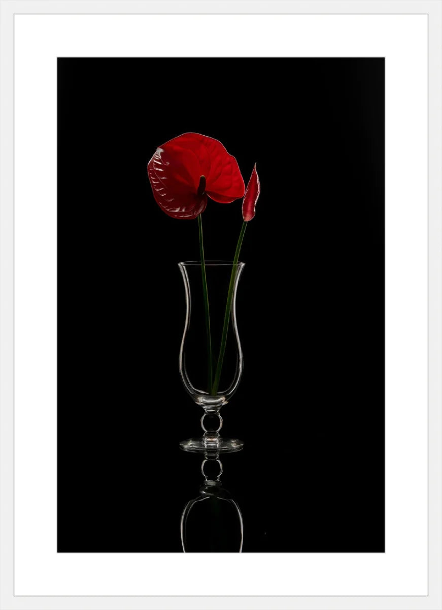 Anthurium