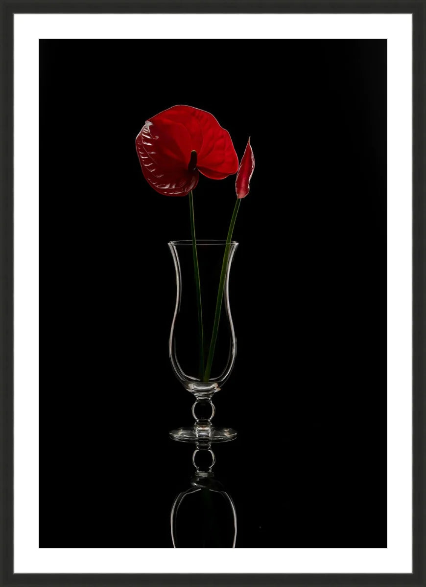 Anthurium