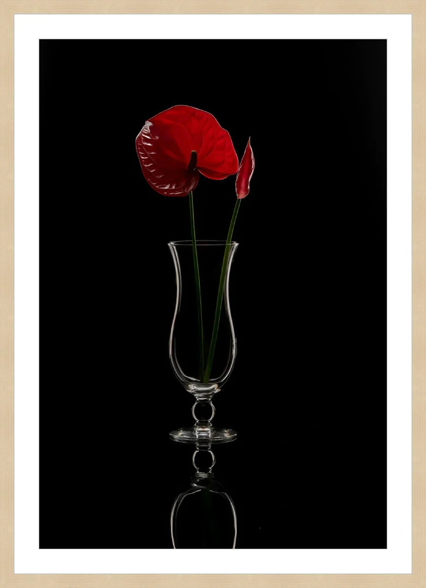 Anthurium