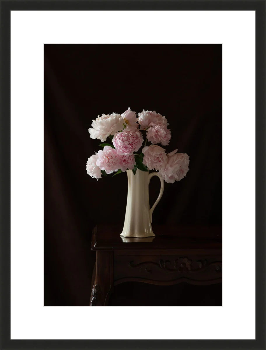 Peony,Still Life 2