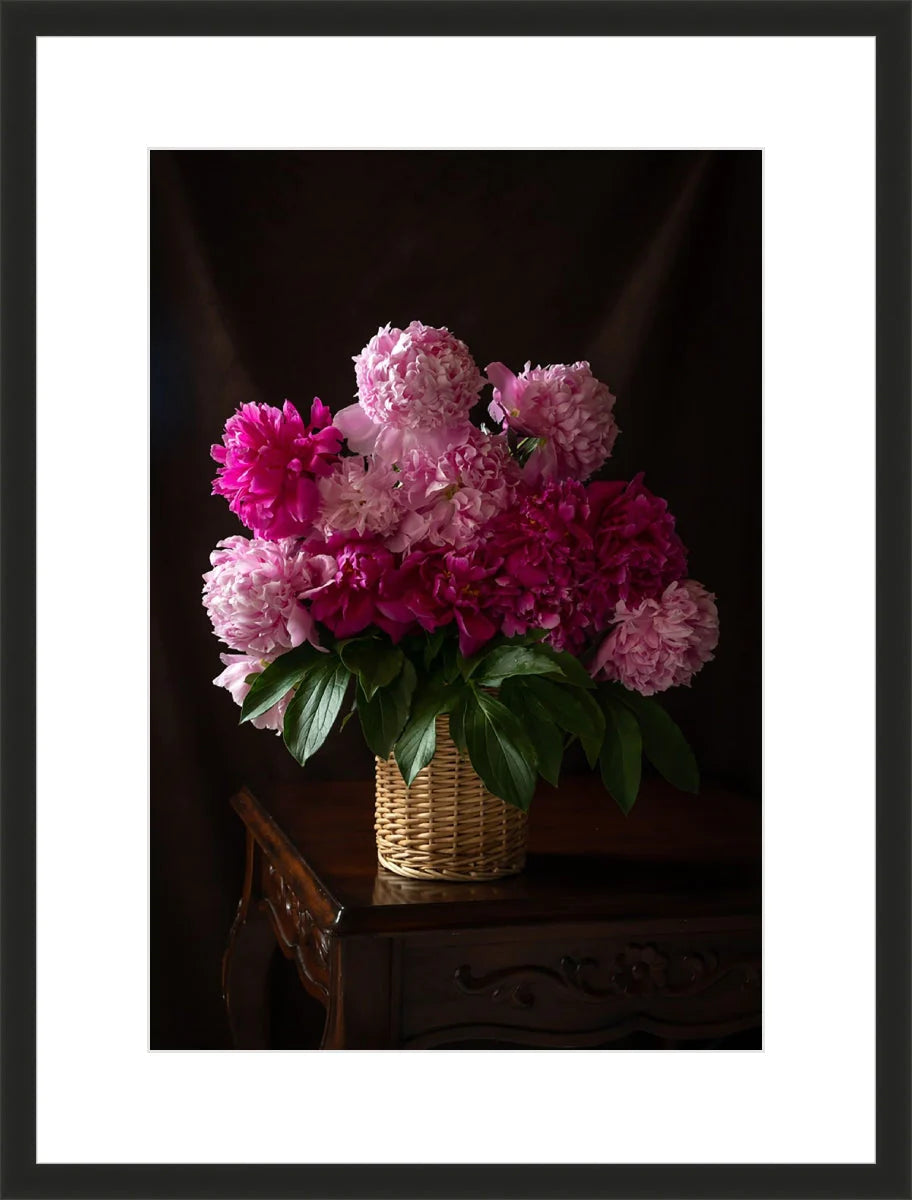 Peony, Still Life