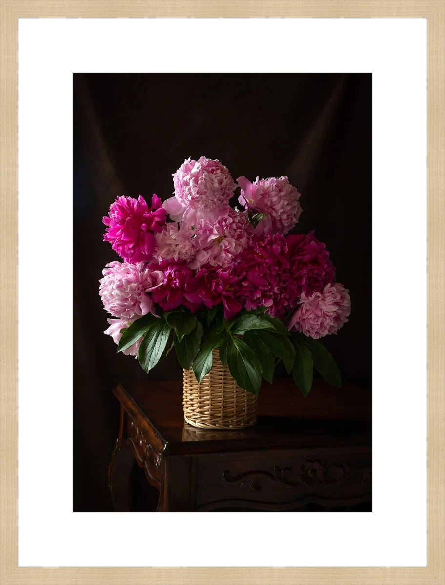Peony, Still Life