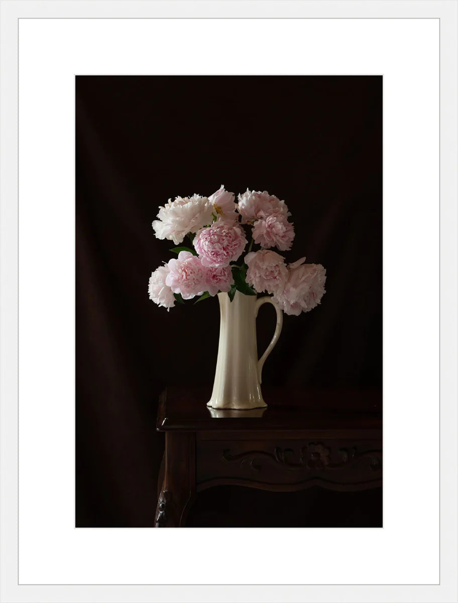 Peony,Still Life 2