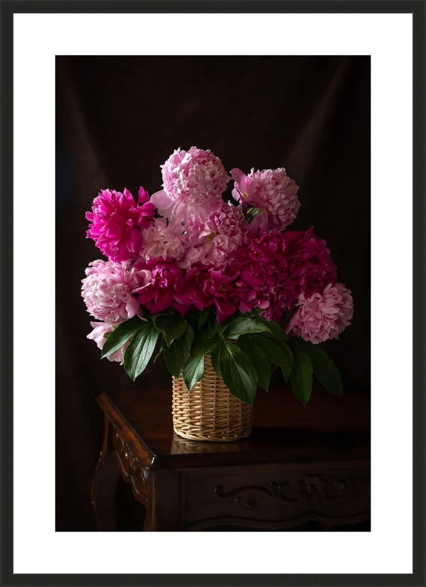 Peony, Still Life