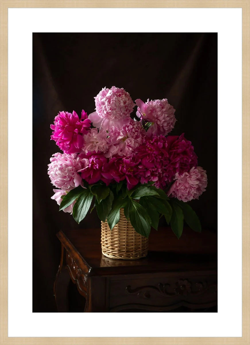 Peony, Still Life