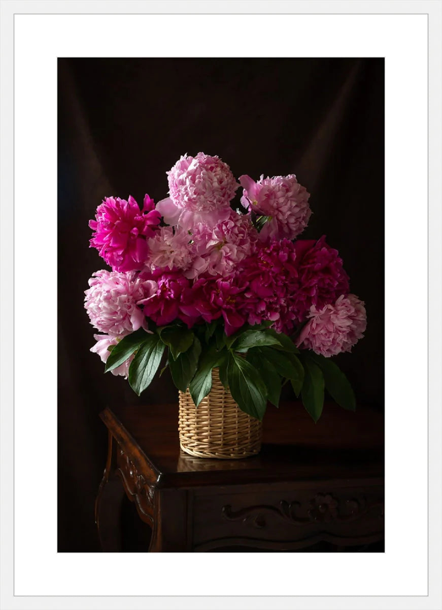 Peony, Still Life