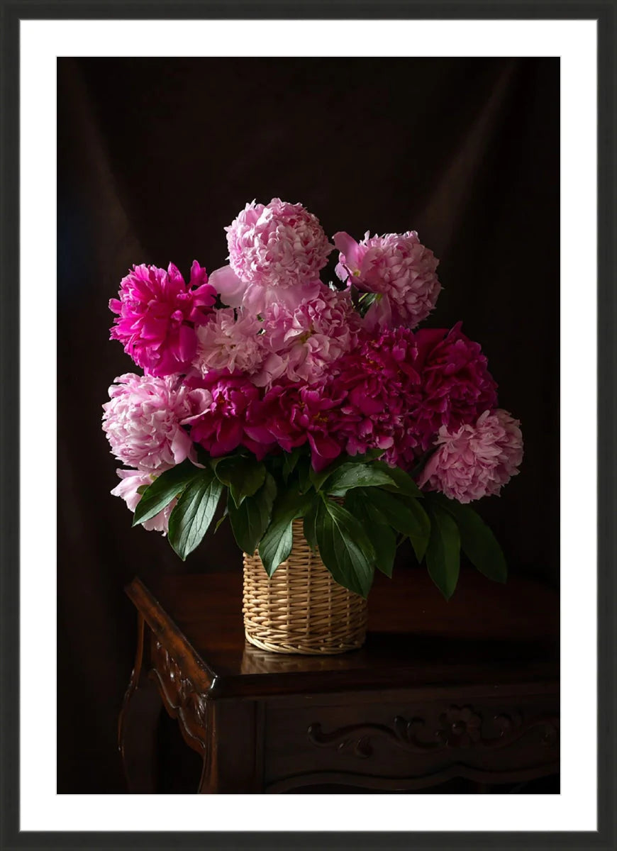 Peony, Still Life