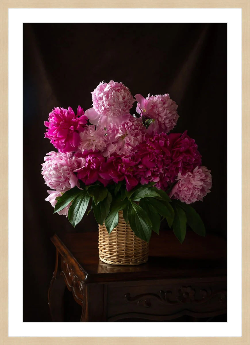 Peony, Still Life