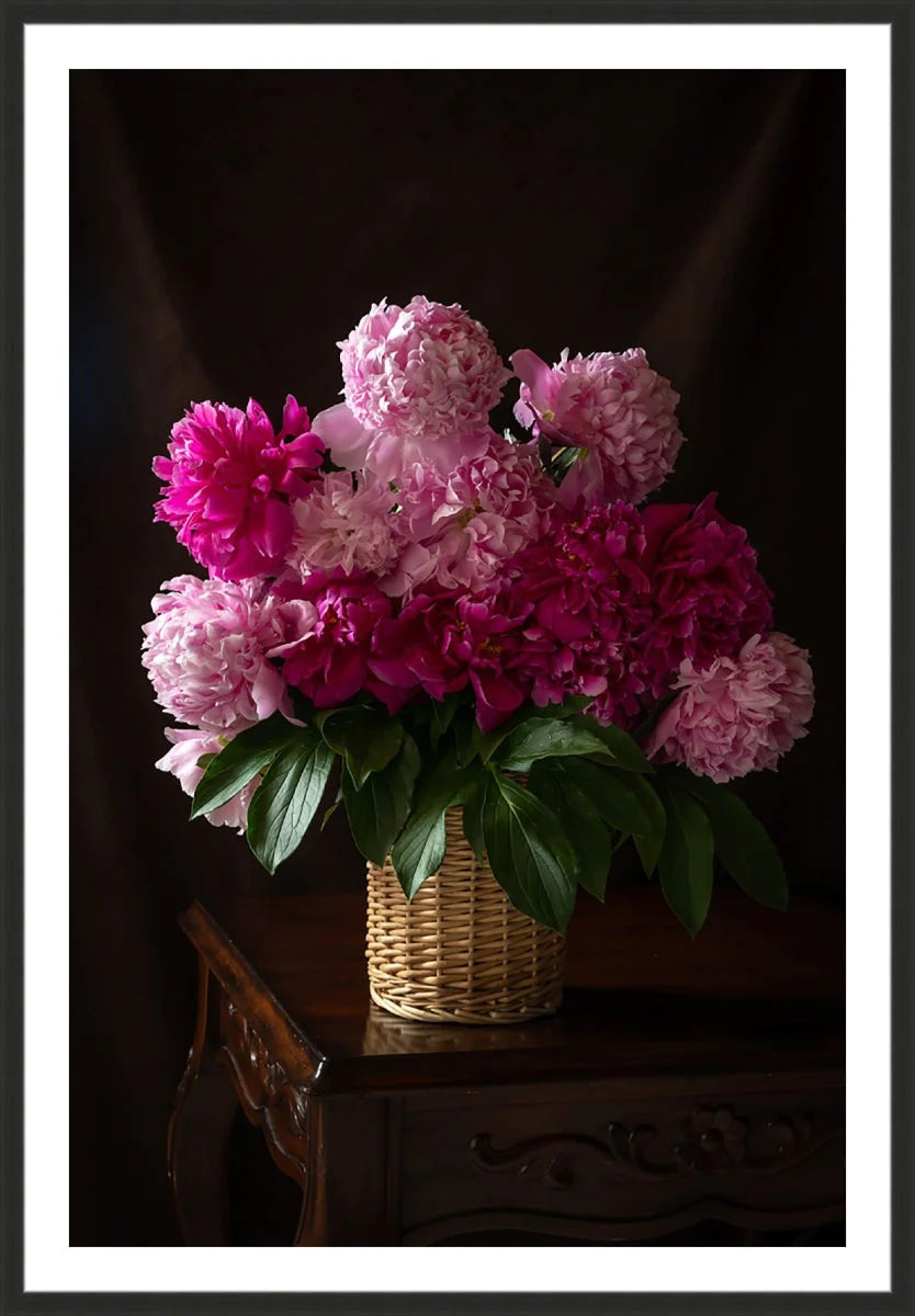 Peony, Still Life