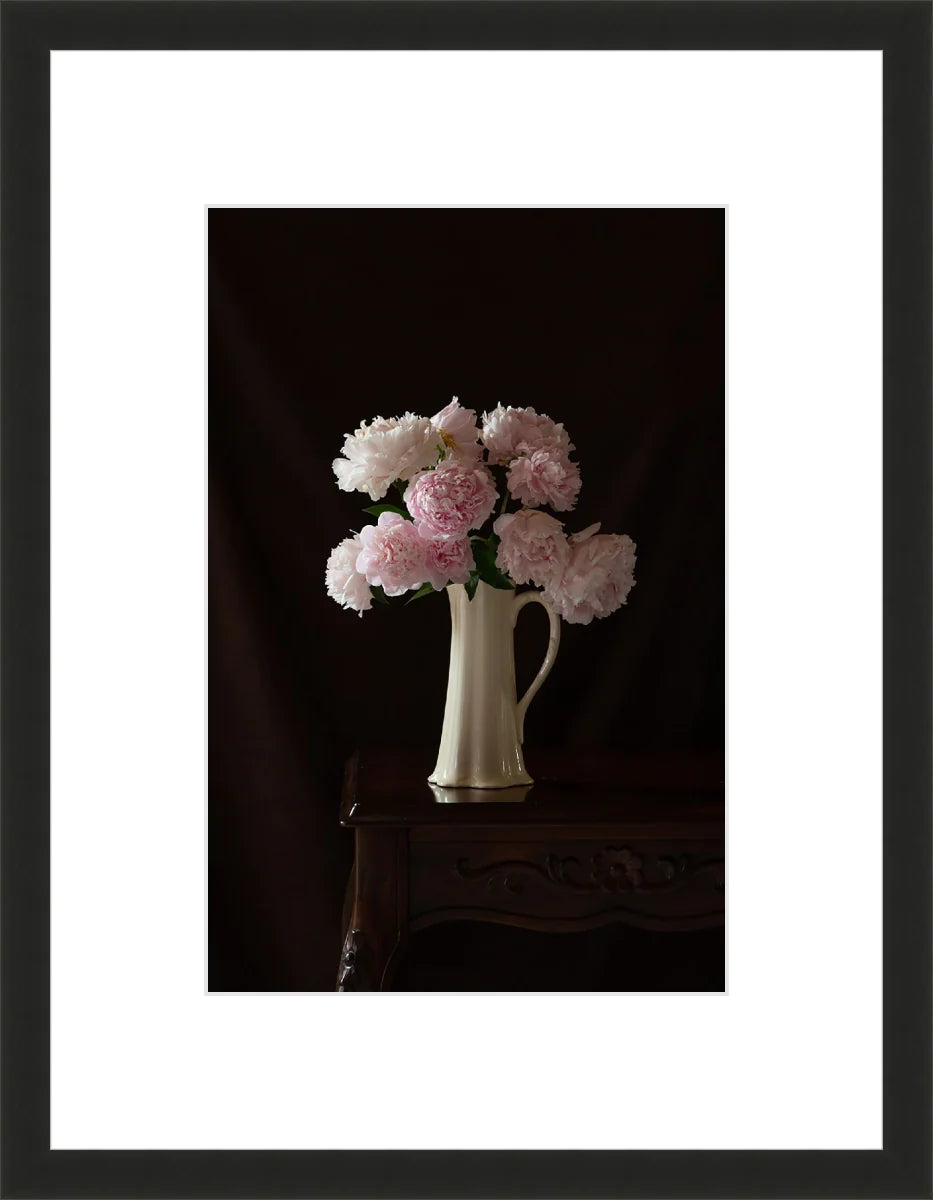 Peony,Still Life 2