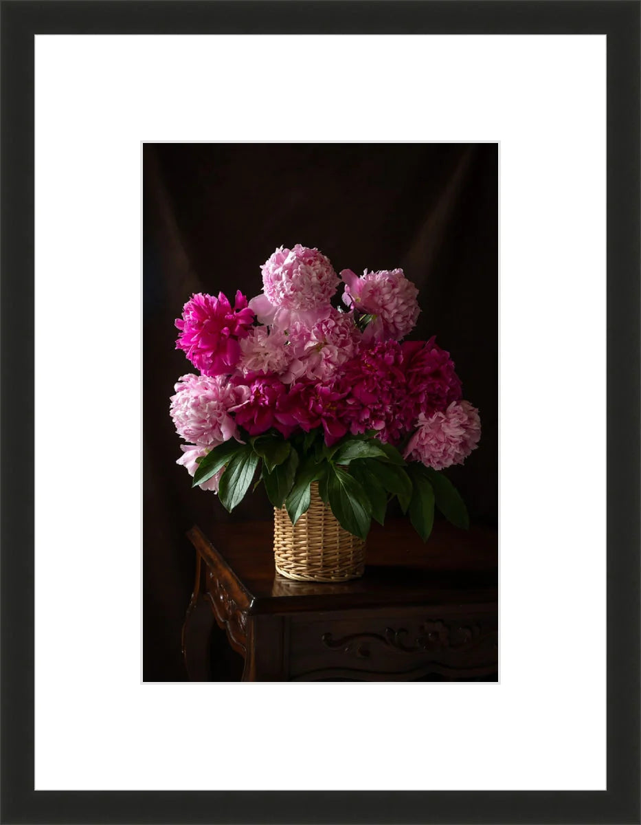 Peony, Still Life