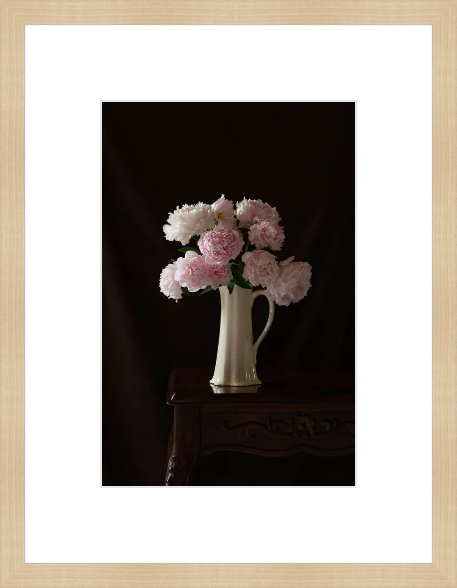 Peony,Still Life 2