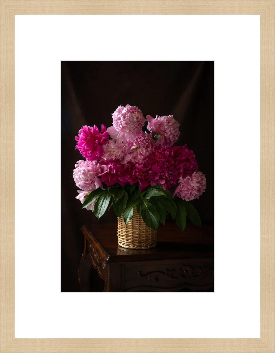 Peony, Still Life
