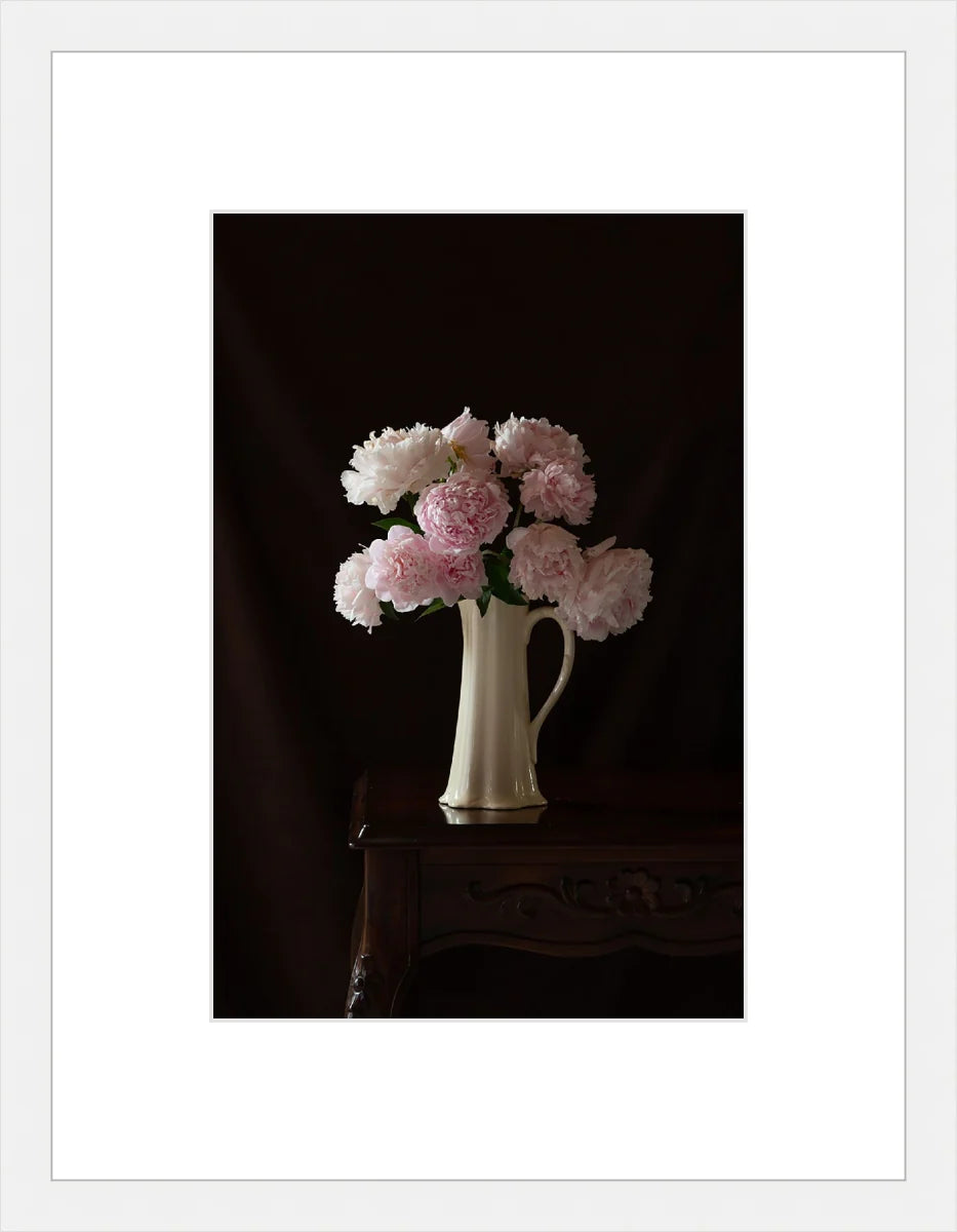 Peony,Still Life 2