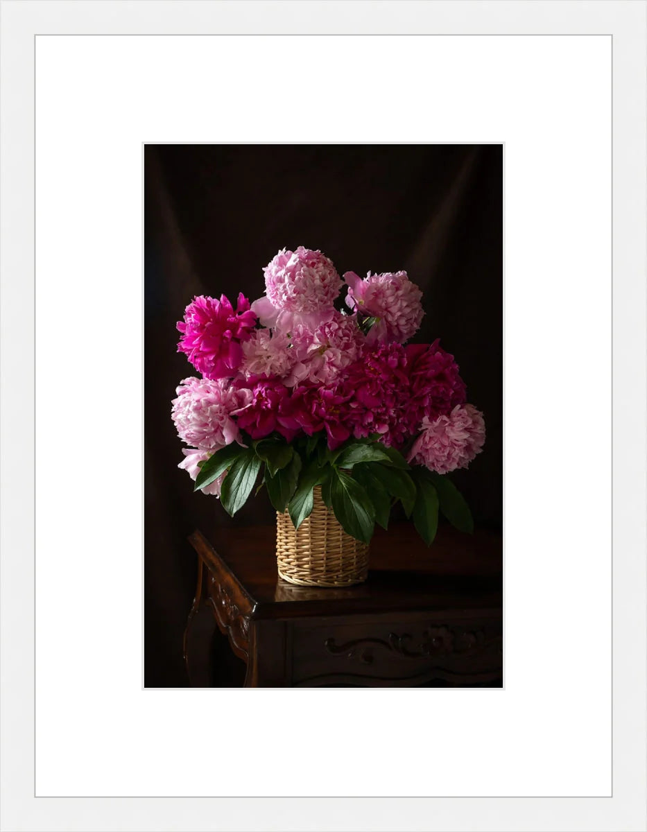 Peony, Still Life