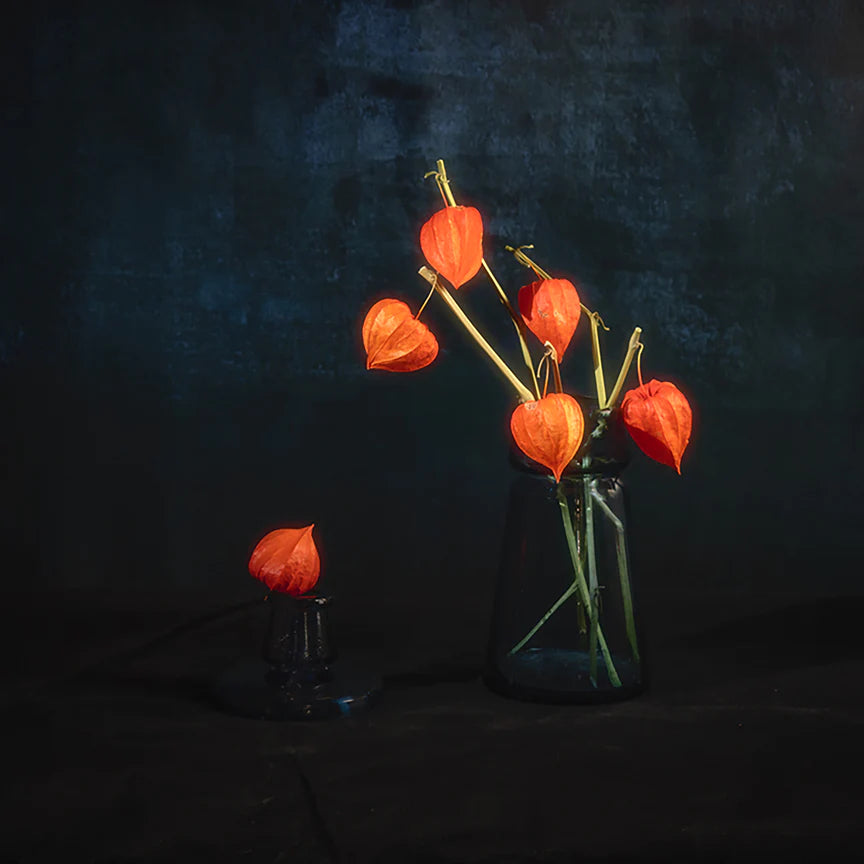 Flowers and Vases, Still Life 2