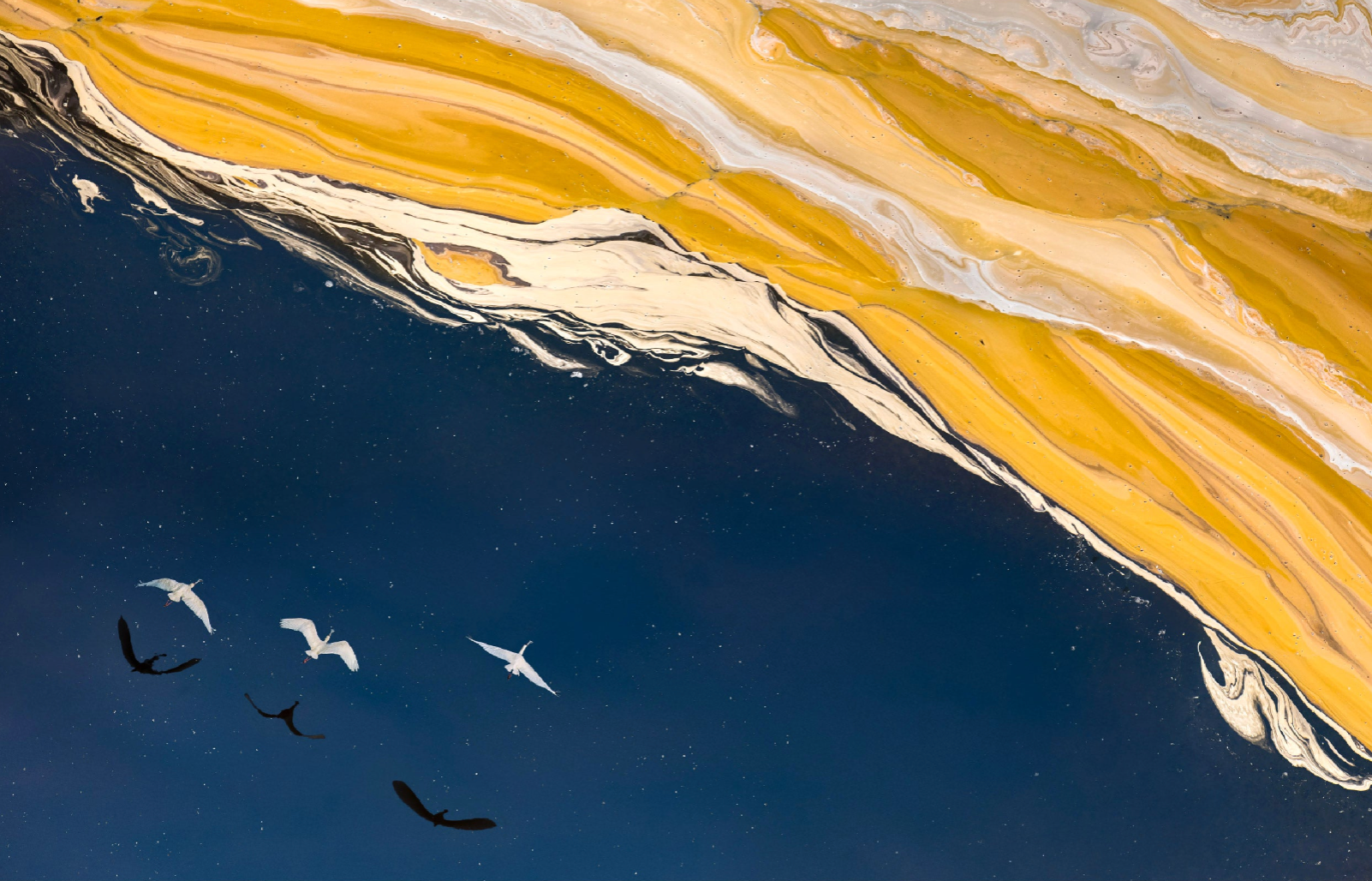 Yun 5