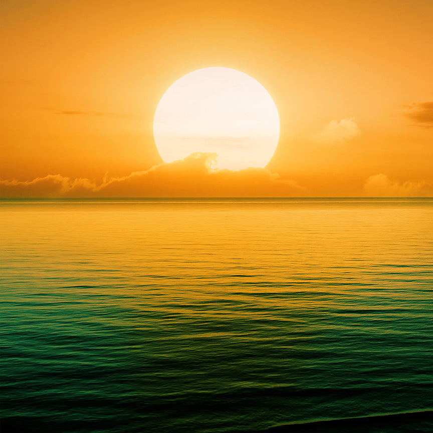Sun in The Horizon