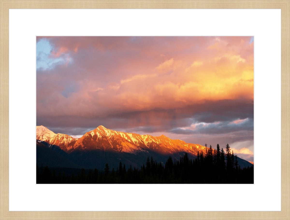 The Golden Mountain