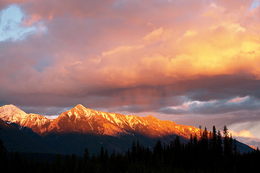 The Golden Mountain