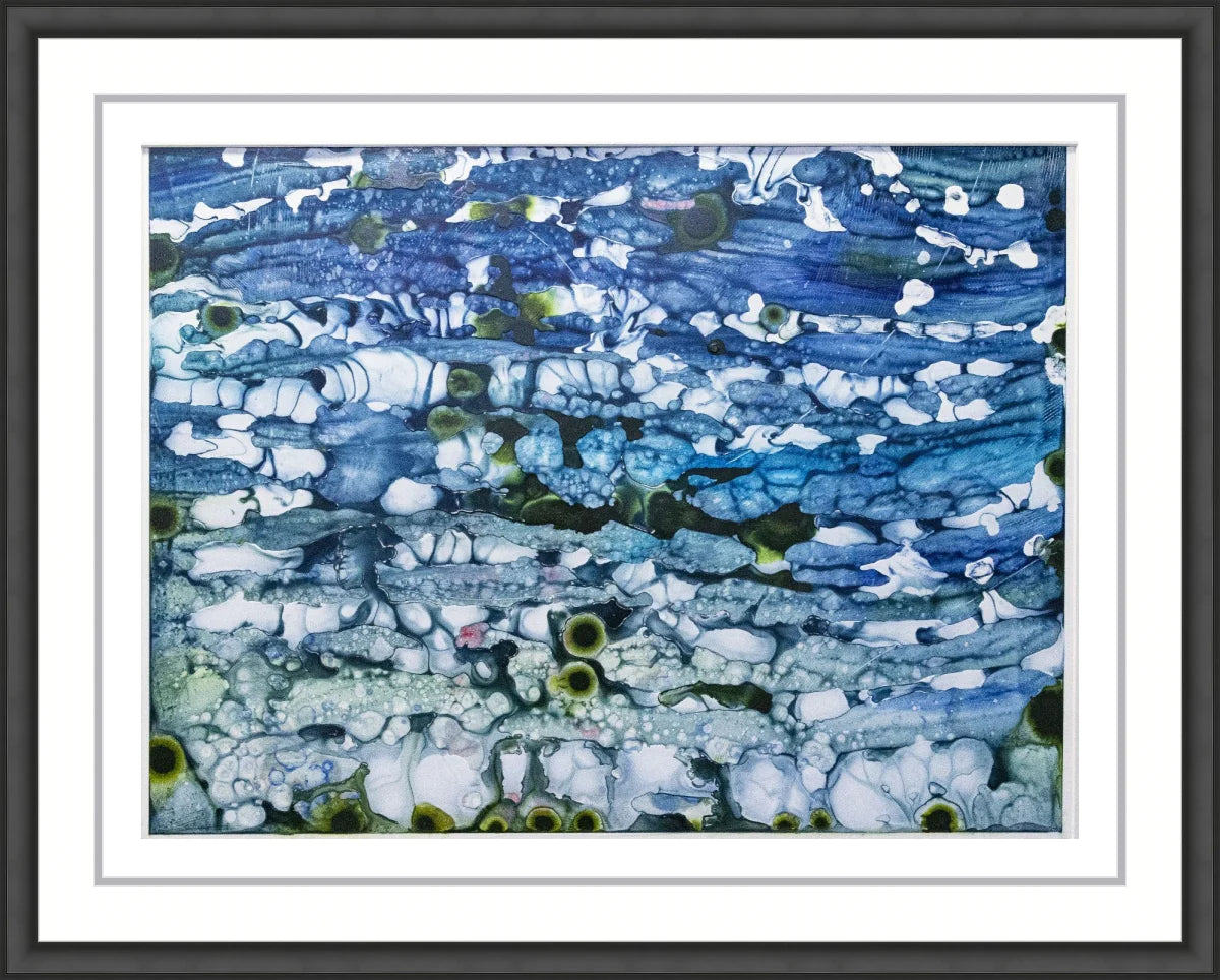The Reef