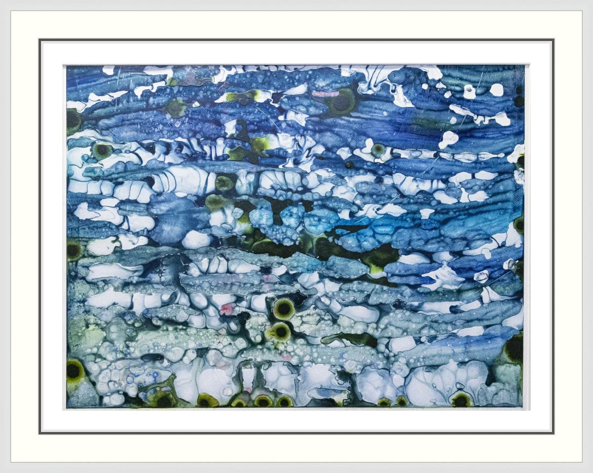 The Reef