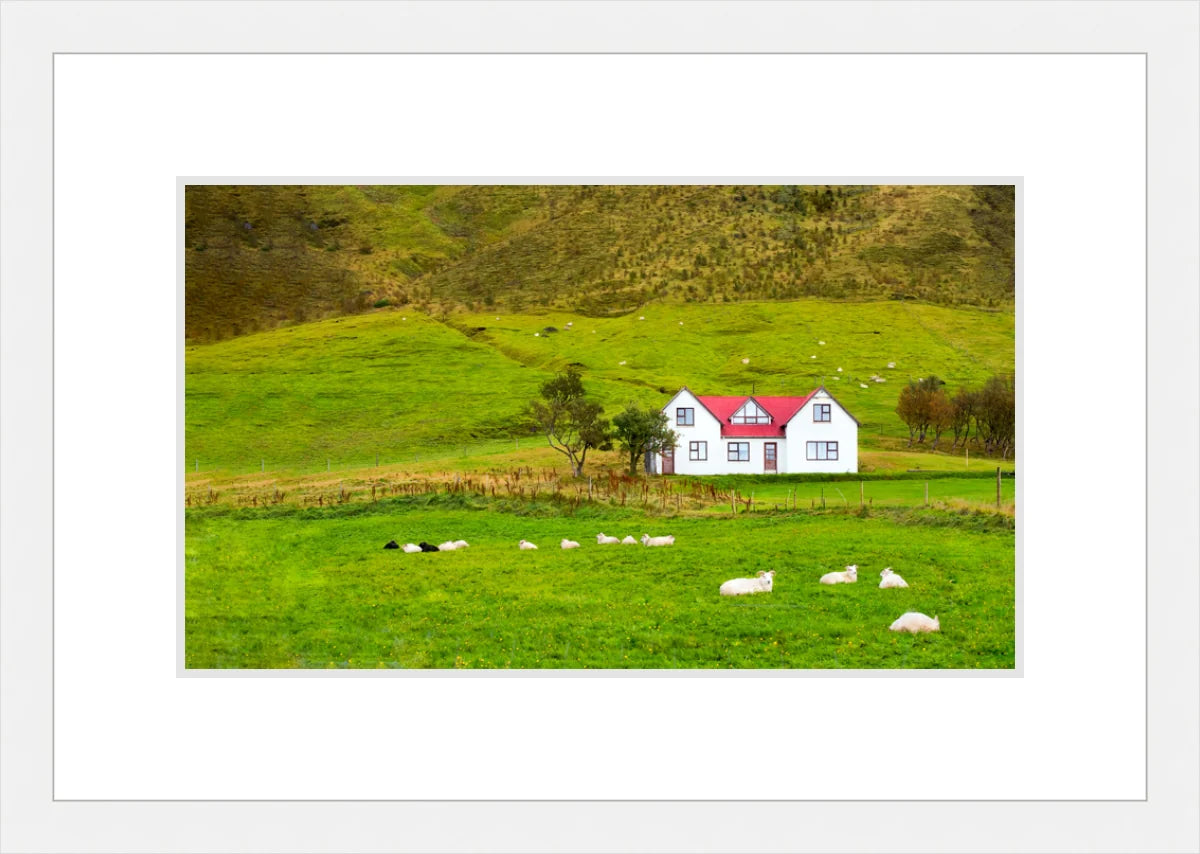 Hillside in Norway