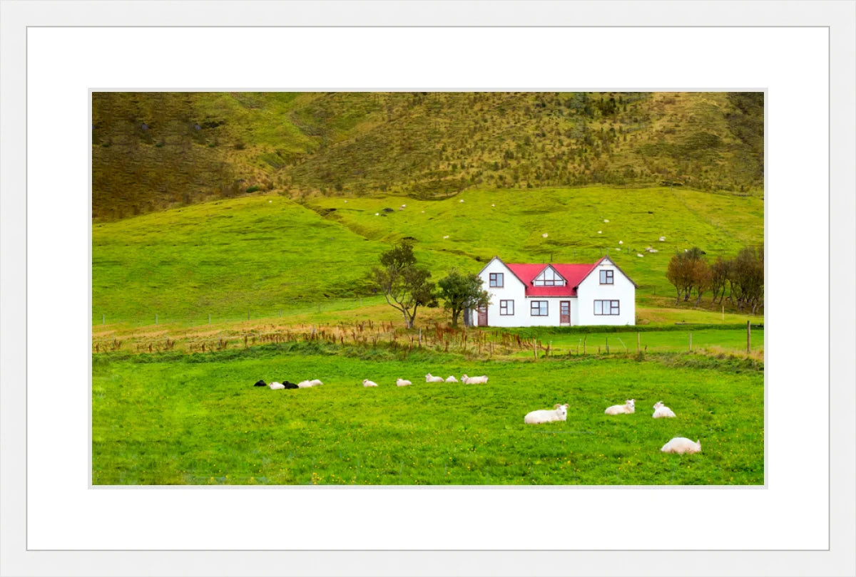 Hillside in Norway