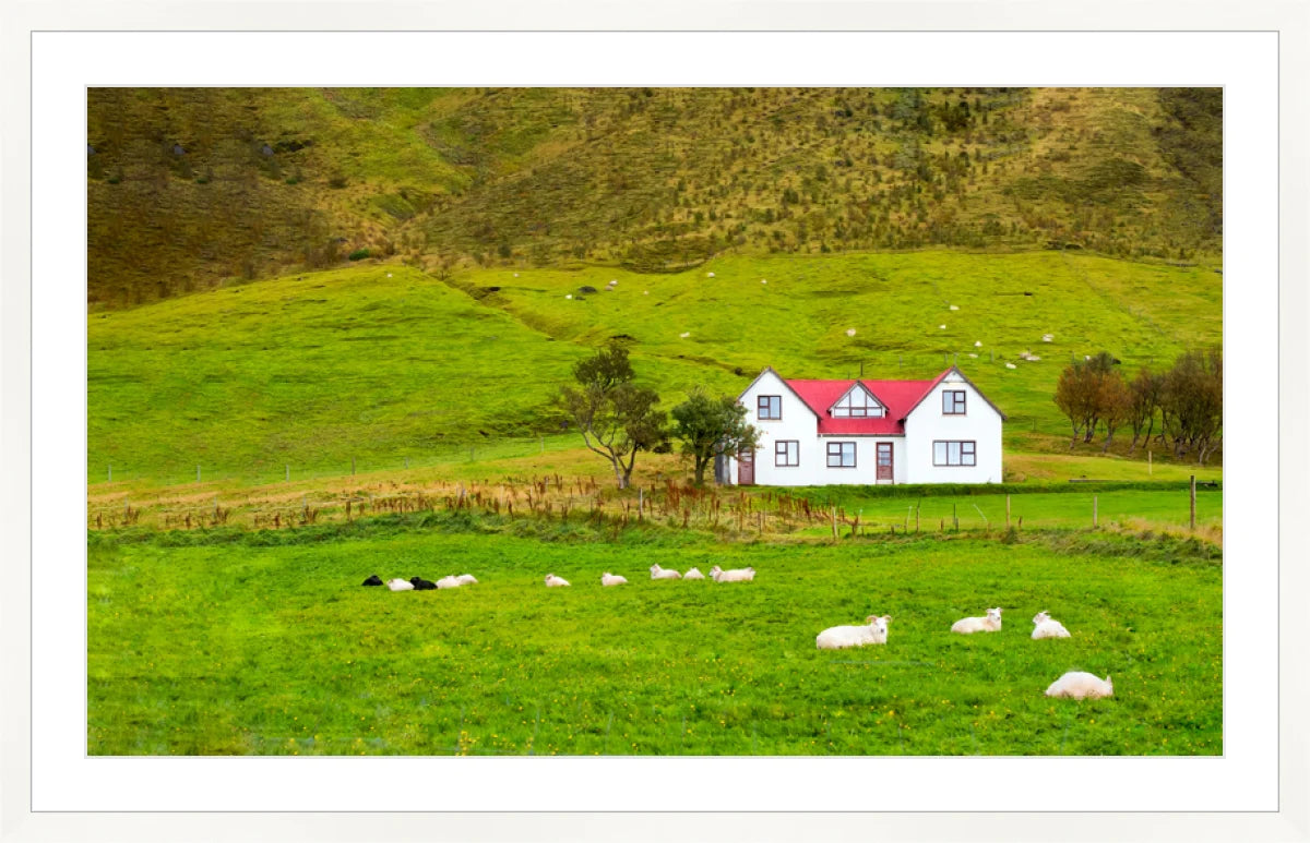 Hillside in Norway