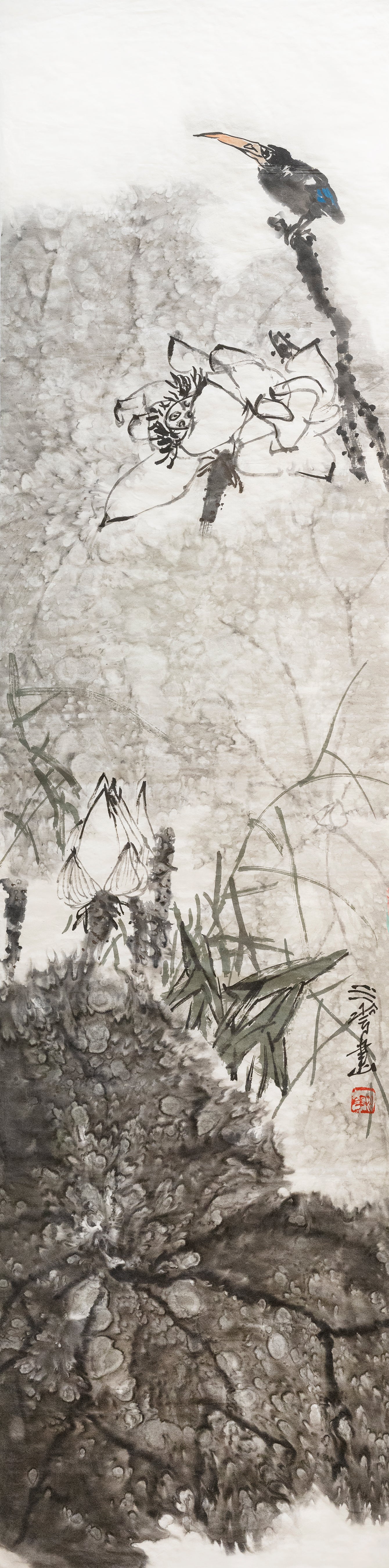 荷花与鸟 Waterlily & Bird