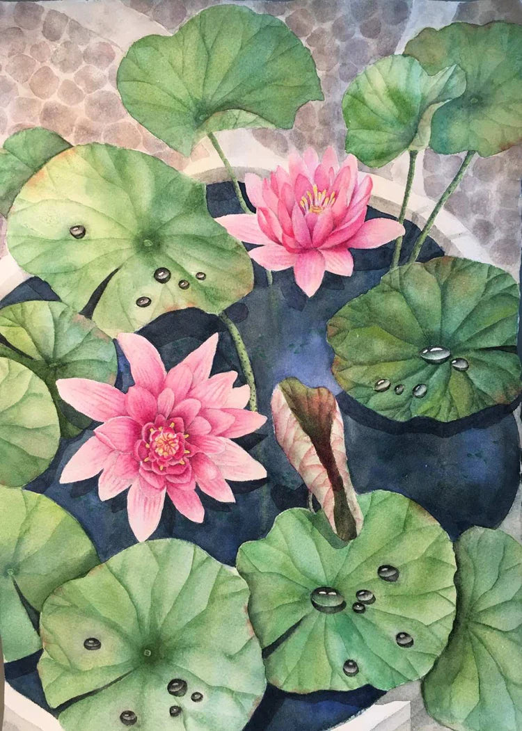 Water Lily