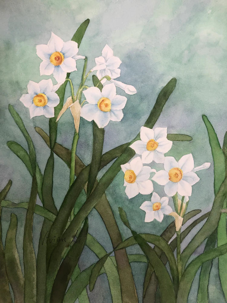 Daffodil